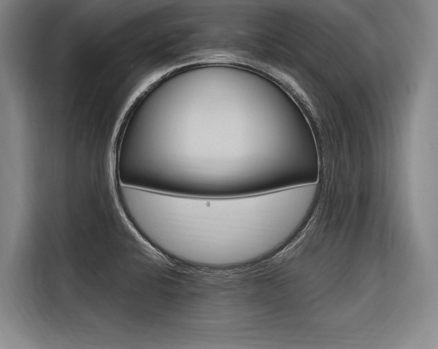 X0000116581424200912101259
