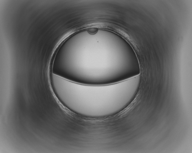 X0000116581426200912101300