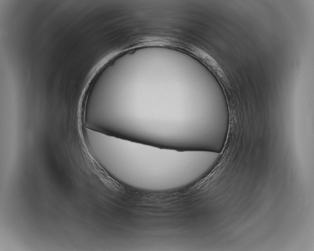 X0000116581427200912101300