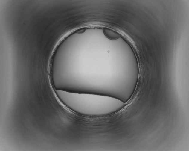 X0000116581429200912101300