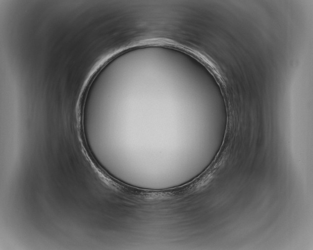 X0000116581430200912101300
