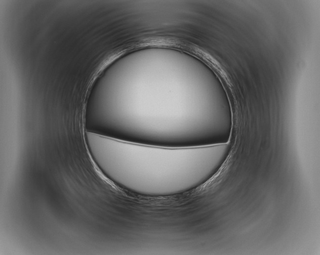 X0000116581433200912101300