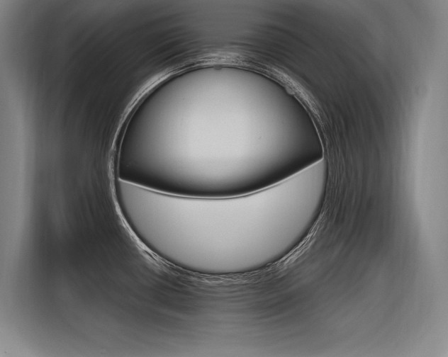 X0000116581434200912101300