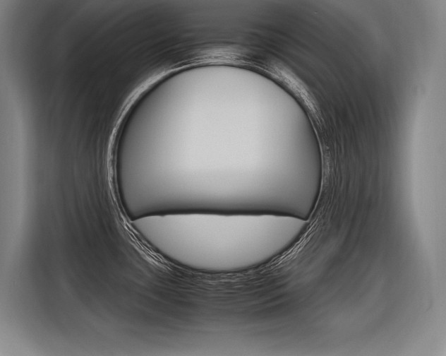 X0000116581435200912101300