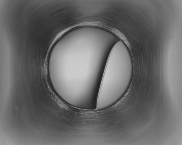 X0000116581436200912101300