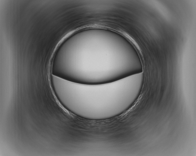 X0000116581437200912101300