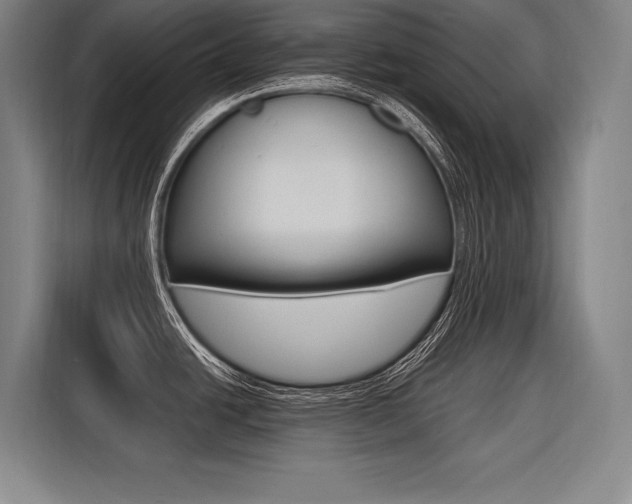 X0000116581438200912101300