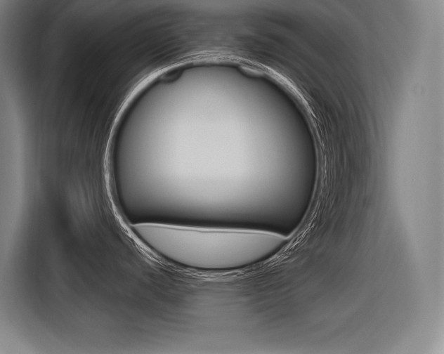 X0000116581440200912101300