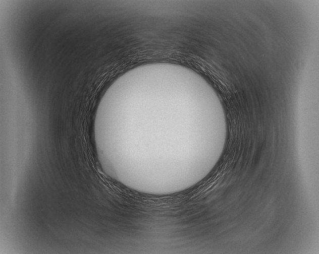 X0000116581441200912101259
