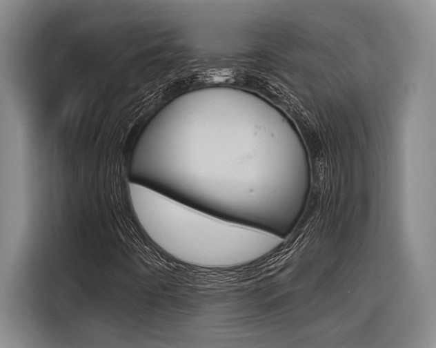 X0000116581442200912101259