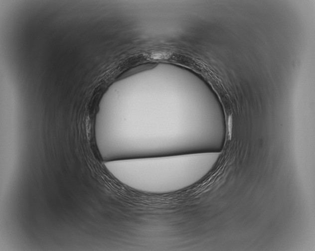 X0000116581443200912101259
