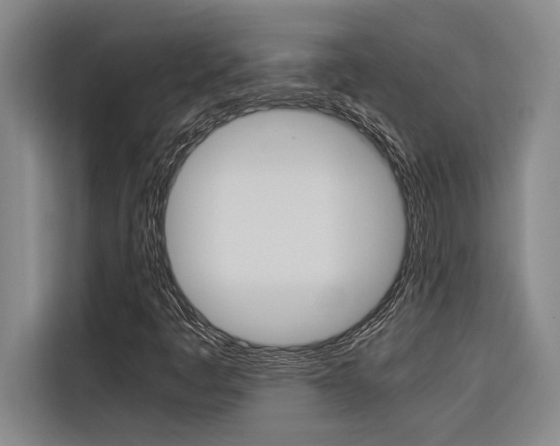 X0000116581445200912101259