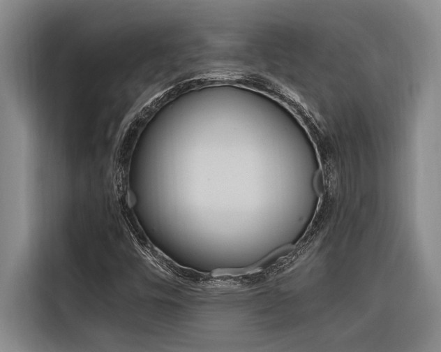 X0000116581448200912101259