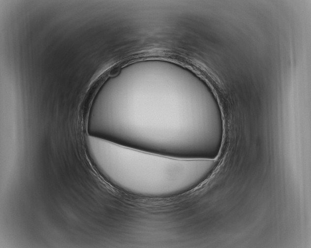 X0000116581450200912101259