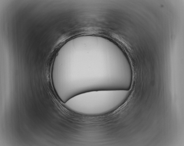 X0000116581451200912101259