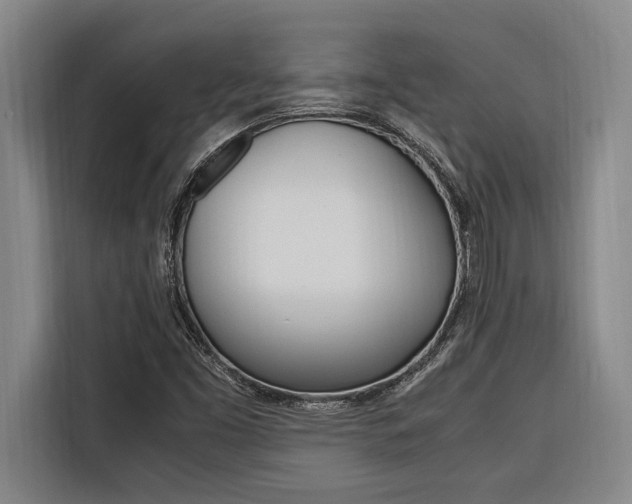 X0000116581453200912101259