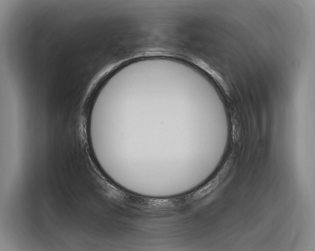 X0000116581454200912101259
