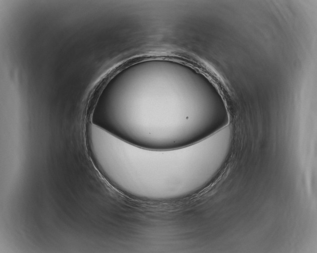 X0000116581456200912101259