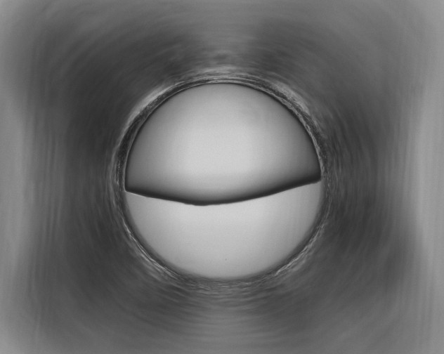 X0000116581458200912101259