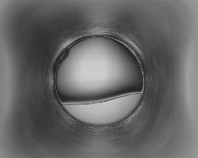 X0000116581461200912101259