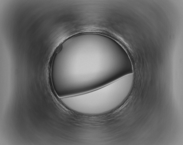 X0000116581463200912101259