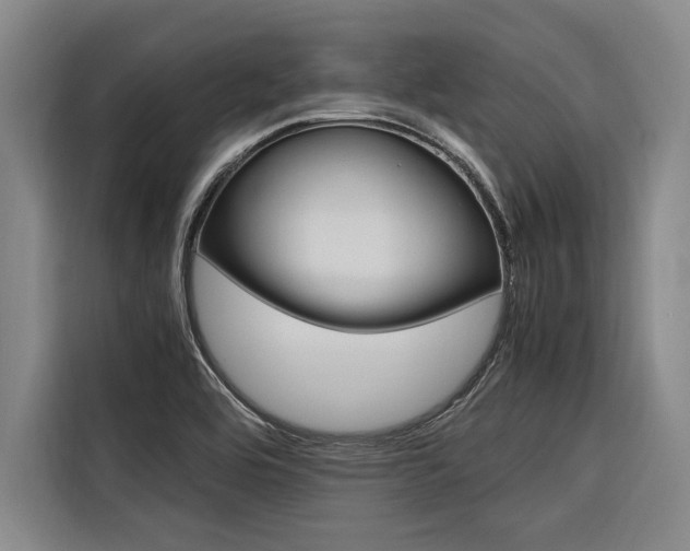 X0000116581464200912101259