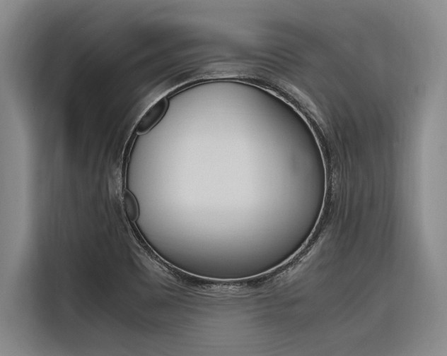 X0000116581465200912101259
