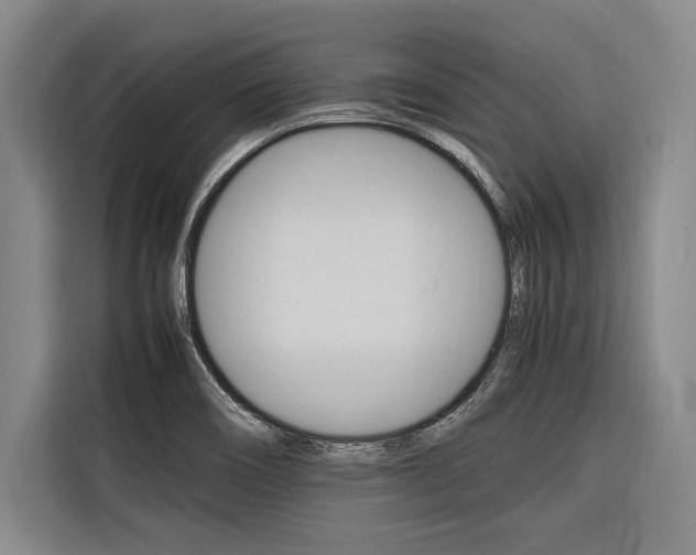 X0000116581466200912101259
