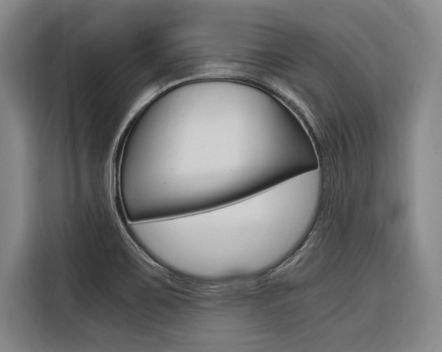 X0000116581467200912101259
