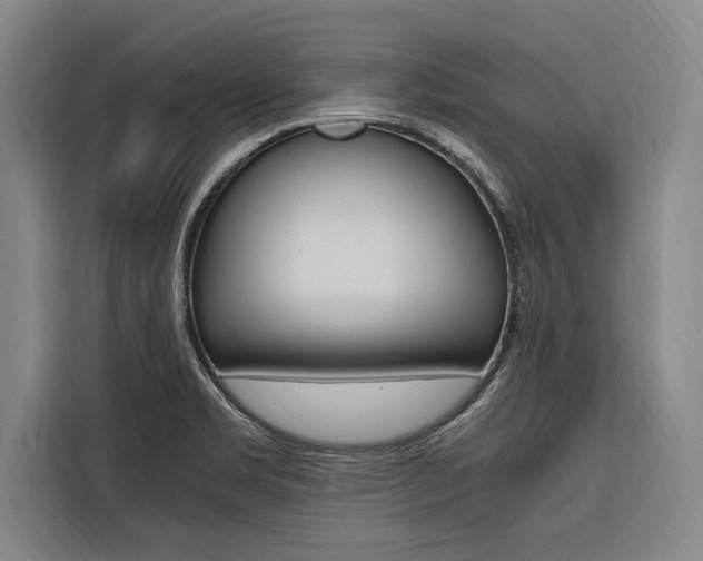 X0000116581469200912101259