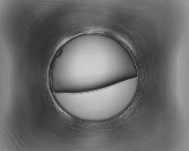 X0000116581471200912101259