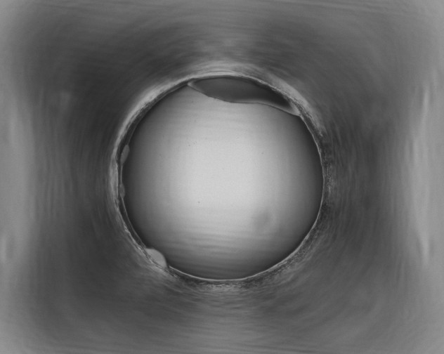 X0000116581472200912101259