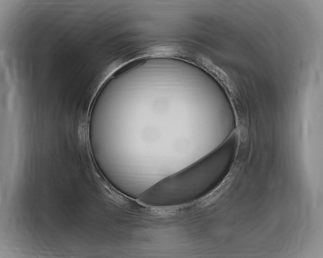X0000116581473200912101259