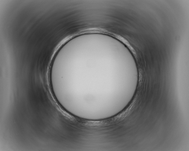 X0000116581474200912101259