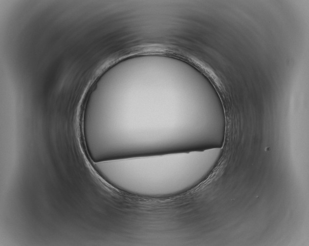 X0000116581475200912101259