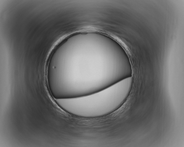 X0000116581477200912101259
