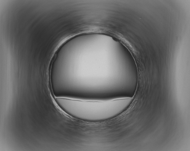 X0000116581479200912101259