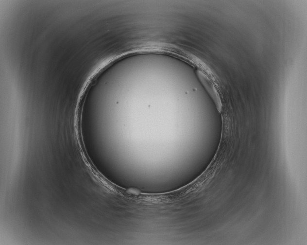 X0000116581480200912101259