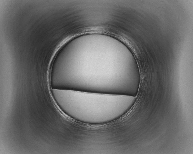 X0000116581482200912101258