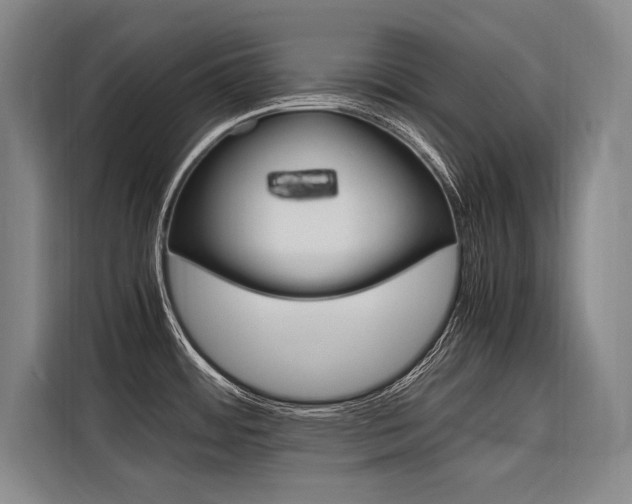 X0000116581484200912101258