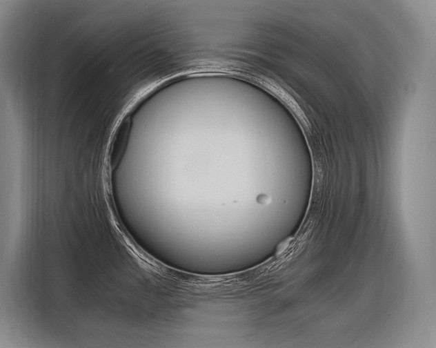 X0000116581485200912101258