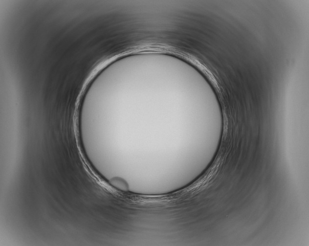 X0000116581486200912101258