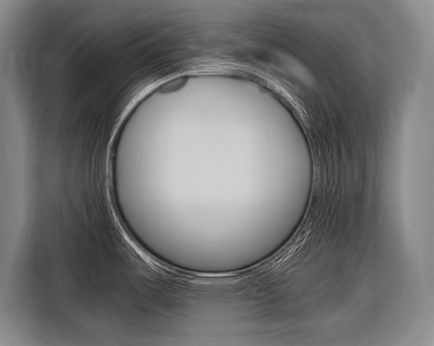 X0000116581487200912101258