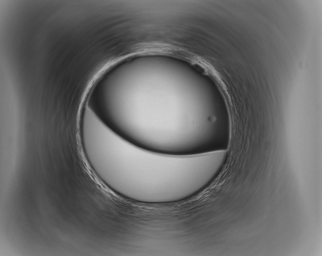 X0000116581488200912101258