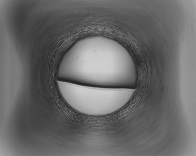 X0000116581489200912101258