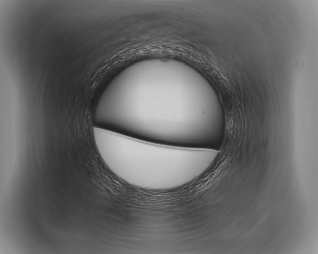 X0000116581490200912101258