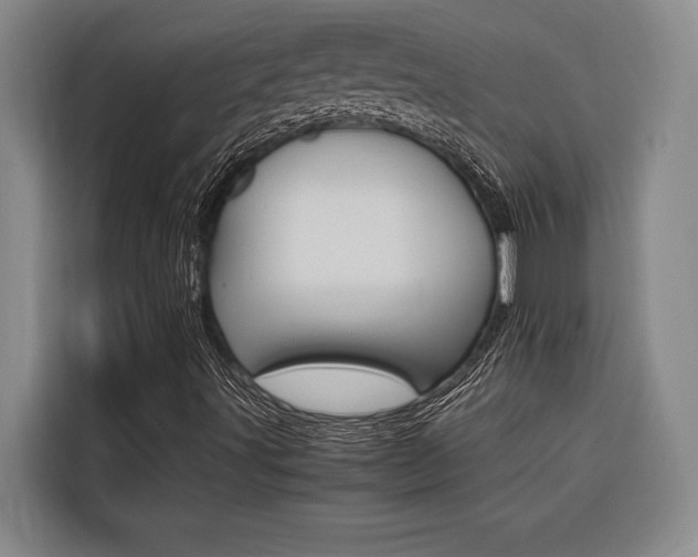 X0000116581491200912101258