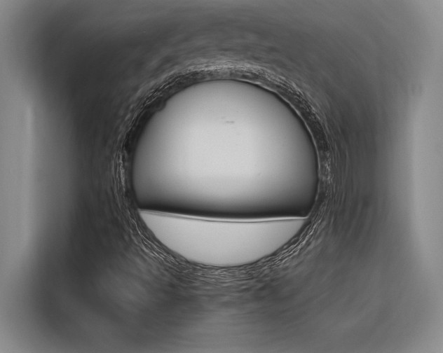 X0000116581493200912101258