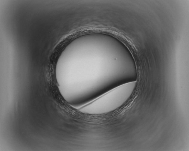 X0000116581494200912101258