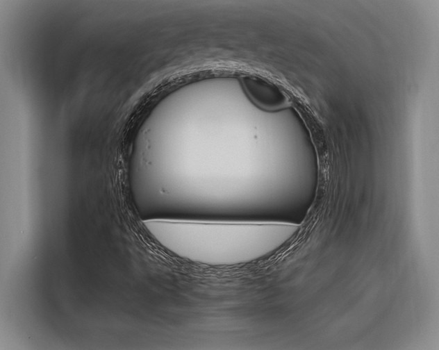 X0000116581495200912101258